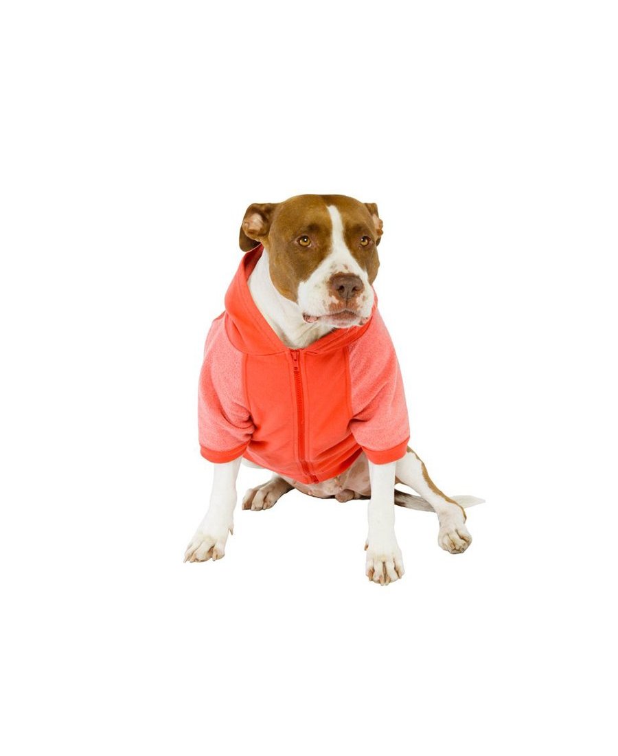 Paws Crop Hoodie — Puppy Couture