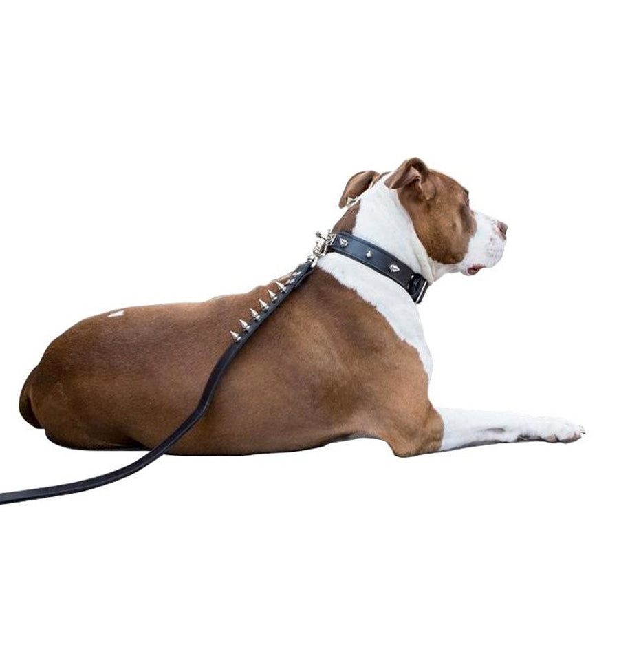 Roll leash outlet